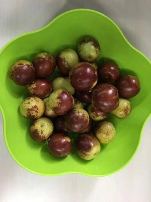 哪里的冬棗最好?山東沾化、河北黃驊、陜西大荔,還是山西、新疆江西或其他地方?