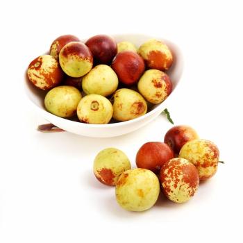 遼寧遼陽冬棗樹苗幾年結(jié)果