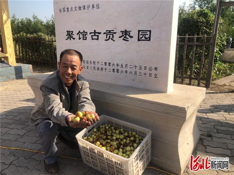 推動(dòng)鄉(xiāng)村振興 河北黃驊冬棗開園采摘活動(dòng)開幕