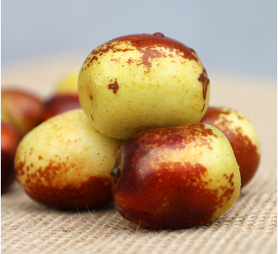 冬棗產(chǎn)地與品質解析 陜西富平與河北黃驊的比較